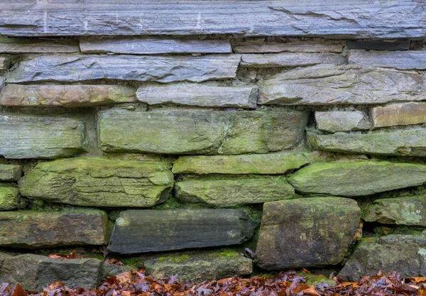 Mossy Gradient Climbs Stone Wall