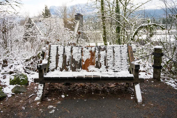 Snow Covered Bench — Stock Photo, Image