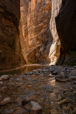 Güneş Işıkları Arka Duvar