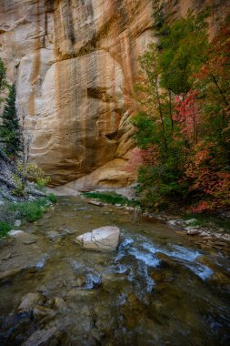 Autumn Comes Early At The Bottom Of The Canyon clipart