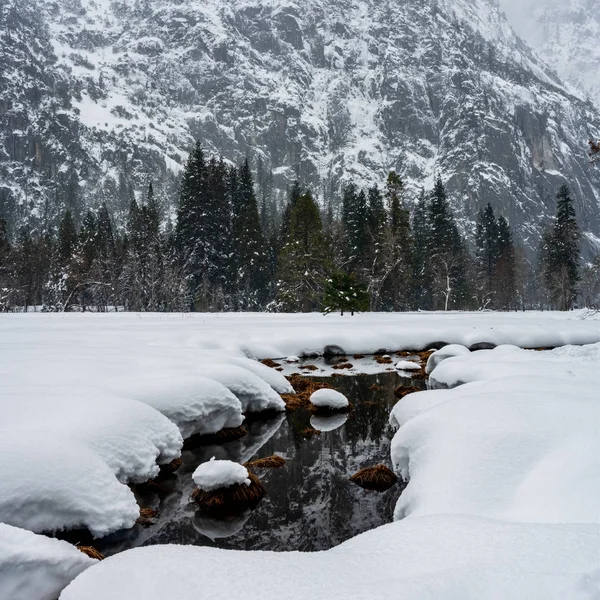 Cortes de riacho através do prado coberto de neve — Fotografia de Stock