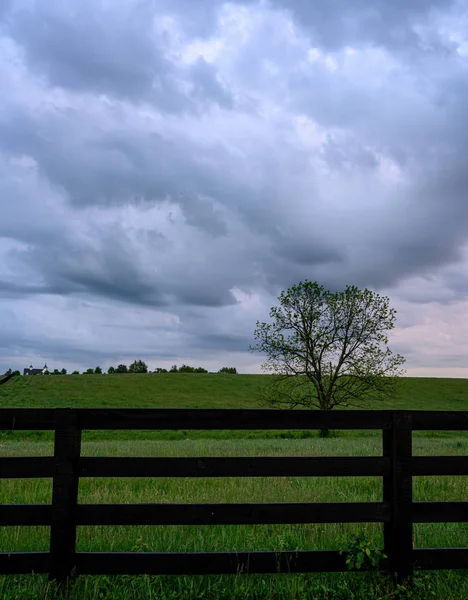 Gray Clouds Over Horse Pasture — 스톡 사진