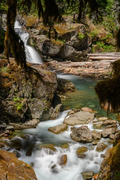 Długa ekspozycja rzeki płynącej poniżej Silver Falls w Waszyngtonie — Zdjęcie stockowe