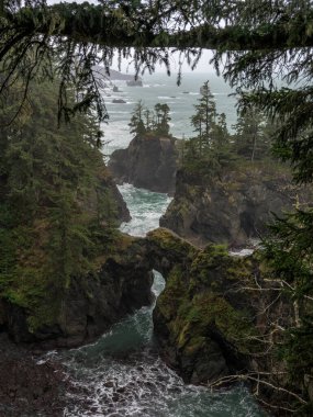 Oregon sahillerinde yosunlu kayalar ve dalgalı dalgalar