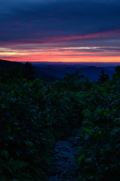 Night Falls Over Overgrown Trail — Stock fotografie