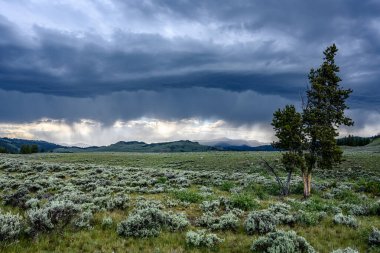 Uzak fırtına bulutlarından yağmur yağar 