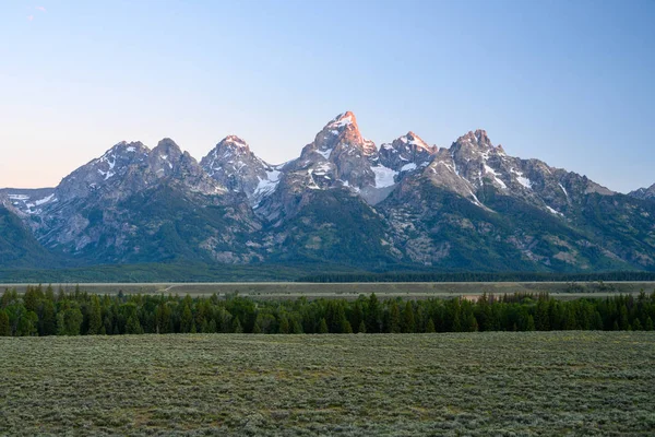 Plats de saule en dessous de Tetons Range — Photo