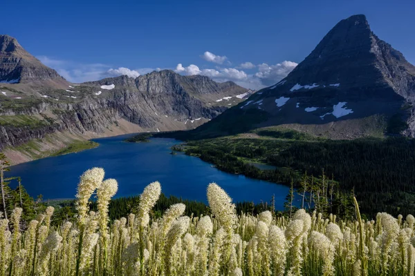 Oso hierba y lago oculto — Foto de Stock