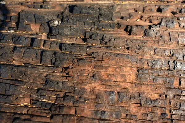 Спалена дерев'яна текстура на історичній структурі — стокове фото