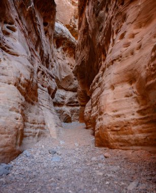 Sandstone 'un Kuru Yuva Kanyonu