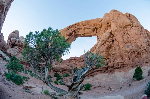 Fisheye of South Spectacle Arch — Stock Photo, Image