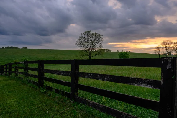 Early Morning Horse Fence — Stock Photo, Image