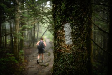 Yürüyüşçü Appalachian Trail Blaze 'i geçiyor