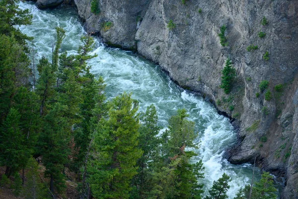 Γρήγορα κινούμενα νερά του ποταμού Yellowstone — Φωτογραφία Αρχείου
