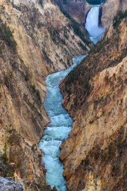 Yellowstone 'un Büyük Kanyonu' na bakıyorum.