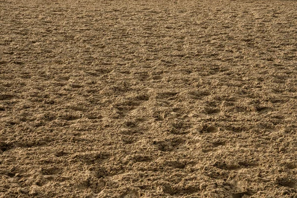 Low Angle of Dirt Track