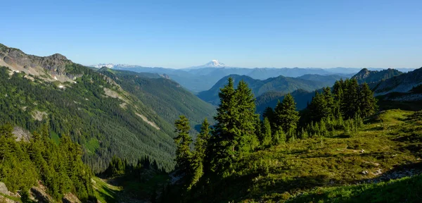 Mt Adams à distância — Fotografia de Stock