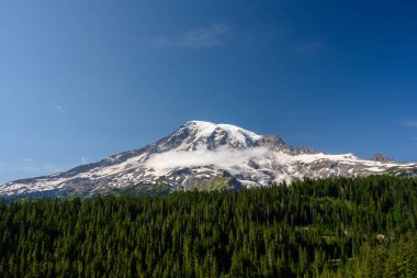 Rainier Dağı 'nın tabanında küçük bulutlu Çam Ağaçları