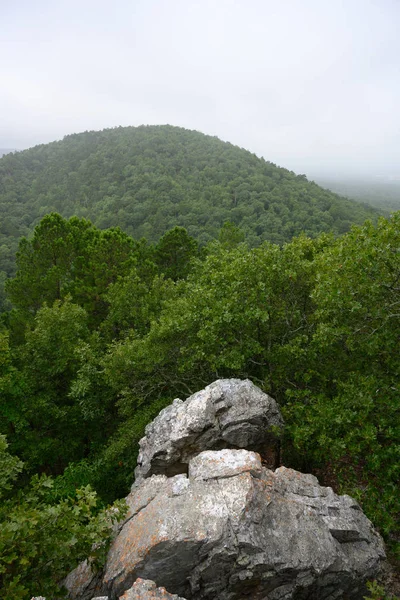 울창 한 숲 위로 솟아오른 바위들 — 스톡 사진