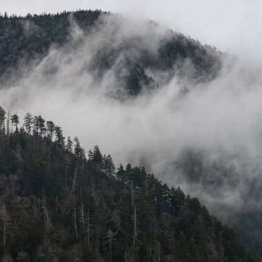 Kalın Bulut 'tan Küçük Tepe Arka Işığı