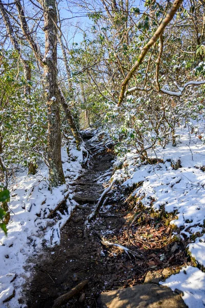 Couvertures de neige Trail à Blood Mountain — Photo