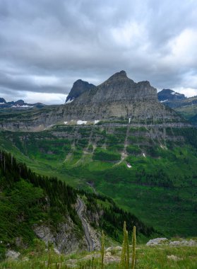 Yazın The Sun Road Heads 'ten Logan Pass' a gidiyorum.
