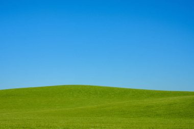 Yeşil Yuvarlanan Tepeler ve Mavi Gökyüzü arkaplan resmi