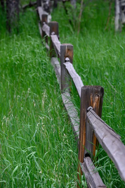 Split Rail Fence Tall Grass Colorado Mountains — Stock Photo, Image