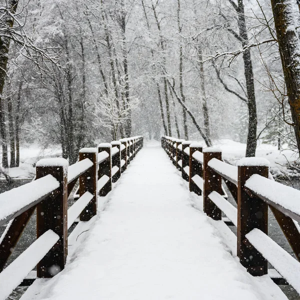 Vista Ângulo Baixo Ponte Coberta Neve Através Vale Yosemite — Fotografia de Stock