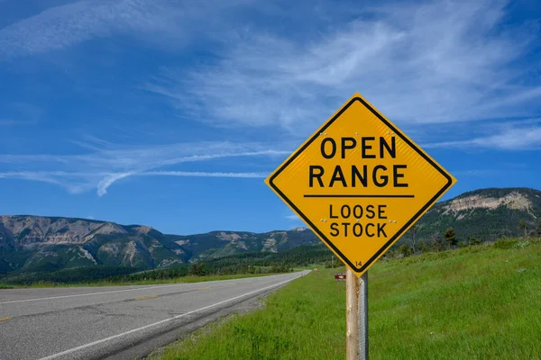 Open Range Segno Avverte Bestiame Sciolto Sul Lato Strada — Foto Stock