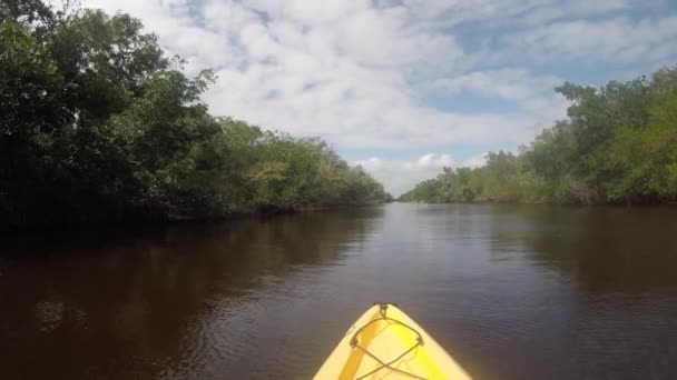 Kayak Por Río Everglades Día Tranquilo — Vídeos de Stock