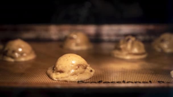 Time Lapse Cookies Baking Oven — Stock Video