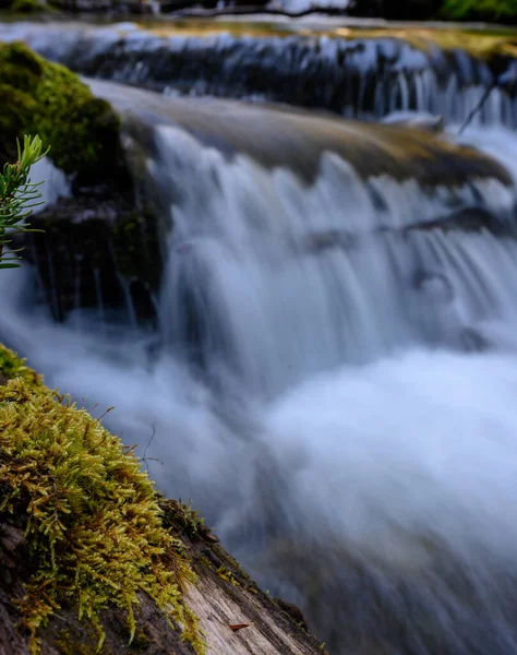 Gros Plan Mousse Face Eau Courante Dans Ruisseau Montagne — Photo