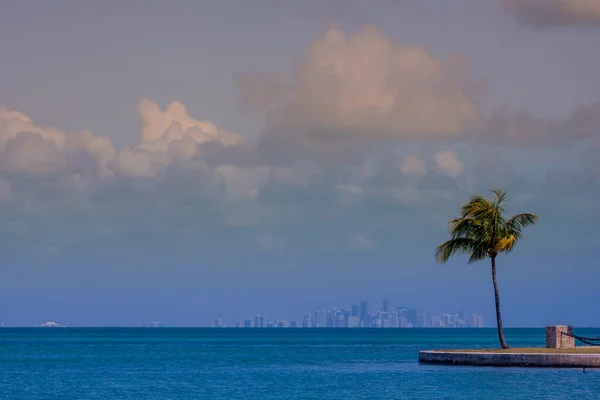 Nubes Construyen Sobre Horizonte Miami Con Palmera Isla Boca Chita —  Fotos de Stock