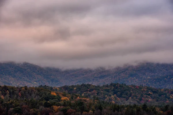 烟雾弥漫的秋林上空低垂的云彩 — 图库照片