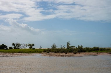 Everglades 'in ötesindeki Çamurlu Havuz ve Meksika Körfezi