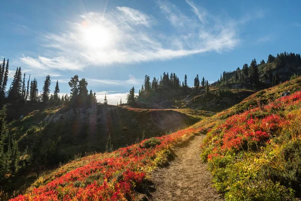 Sunny Skies Winding Trail Outono Washington Wilderness — Fotografia de Stock