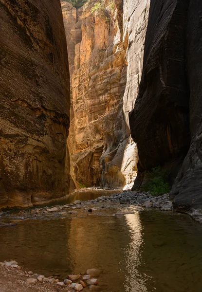 Virgin River Serpenteia Pelo Canyon Narrows — Fotografia de Stock