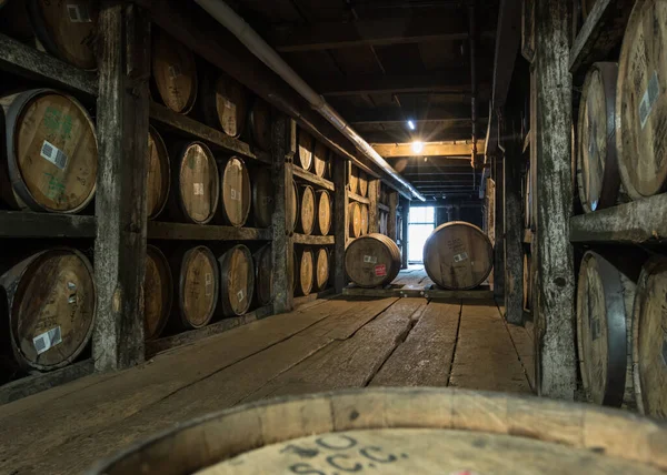 Barrels Walkway Empty Distillery — Stock Photo, Image