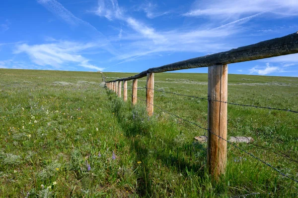 Ostnatý Drát Dřevěný Plot Řeže Přes Zelené Pole Létě — Stock fotografie