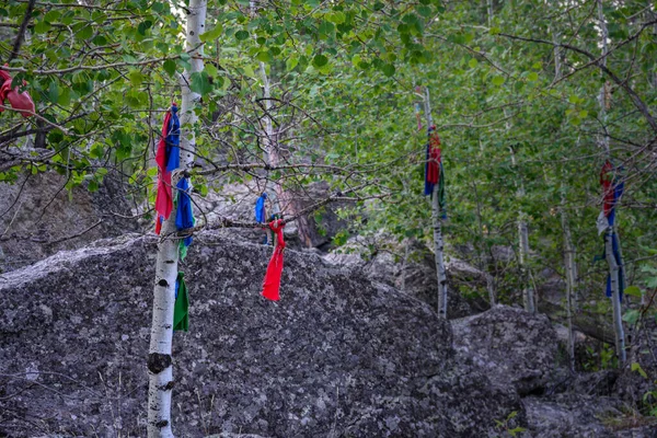 Niebieskie Czerwone Flagi Modlitewne Drzewach — Zdjęcie stockowe