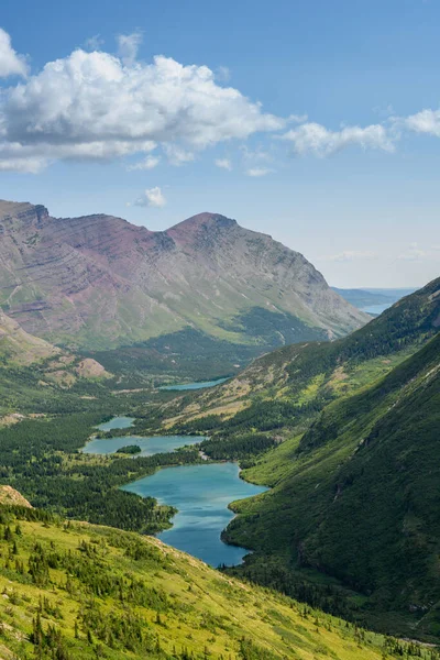 Bull Head Lake Från Swiftcurrent Pass Sommaren — Stockfoto