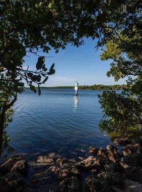 Mangrov 'da kıyı boyunca Kanal İşareti Throuh Deliği