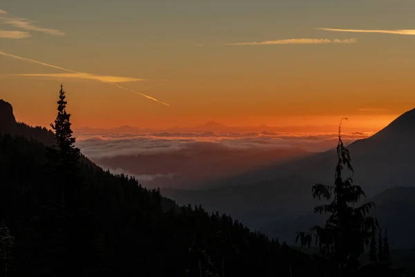 Sunrise Olympic National Park — Stock Photo, Image