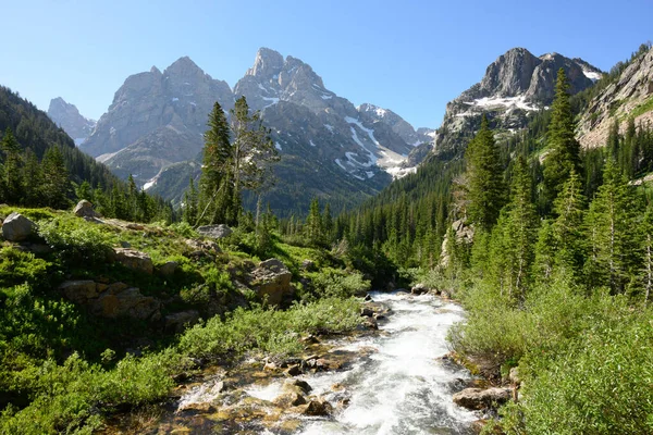 Teton Mountains Loom Over Rushing River in summer