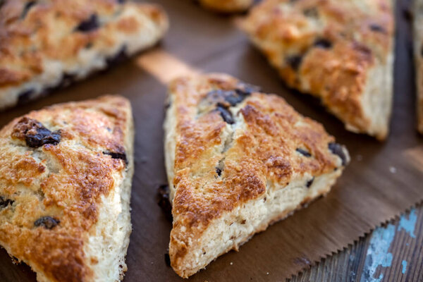 Crispy Brown Texture  on Chocolate Chip Scone on parchment paper