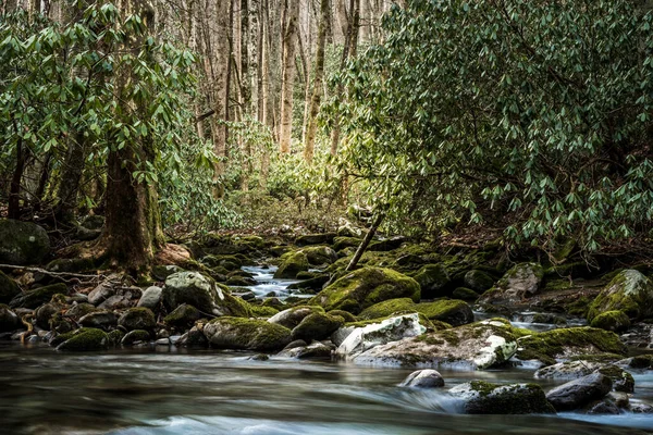 Creek Smokies Deki Küçük Nehre Katılır — Stok fotoğraf