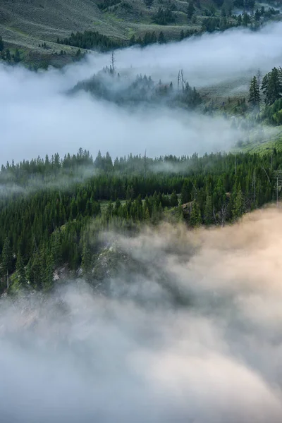 Intreccio Nuvole Foresta Nella Valle Sopra Fiume Yellowstone — Foto Stock