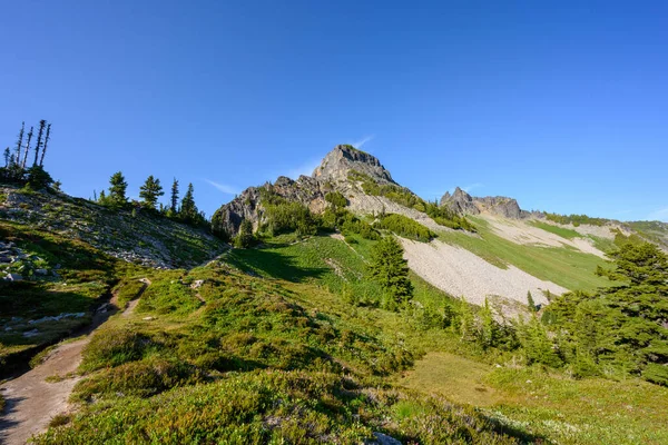 Parte Trás Pico Pinnacles Parque Nacional Mount Rainier — Fotografia de Stock