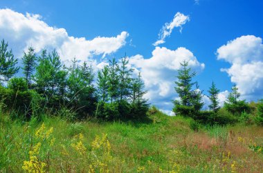 Mavi gökyüzüne karşı manzaralı dağ zirveleri